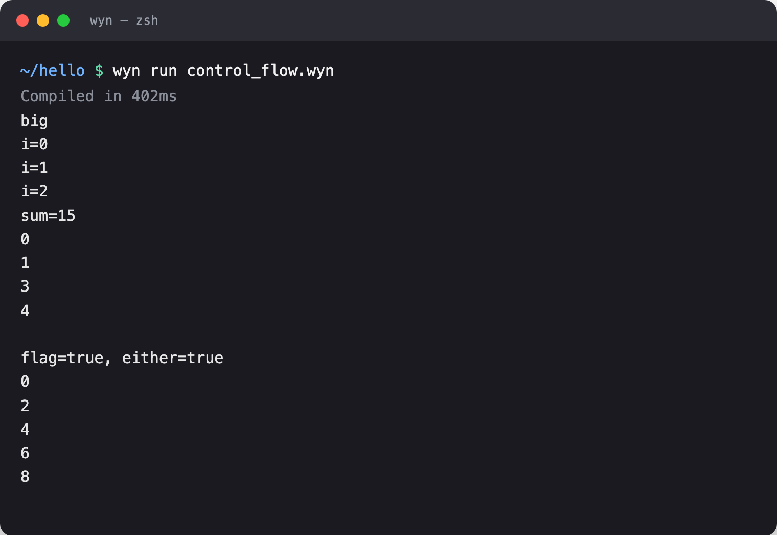 wyn run output of the control-flow snippet