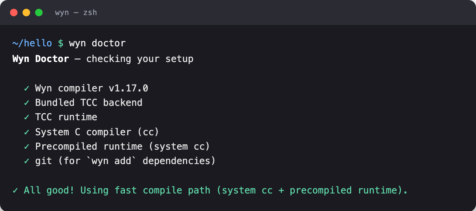 wyn doctor showing all green checkmarks and a healthy toolchain